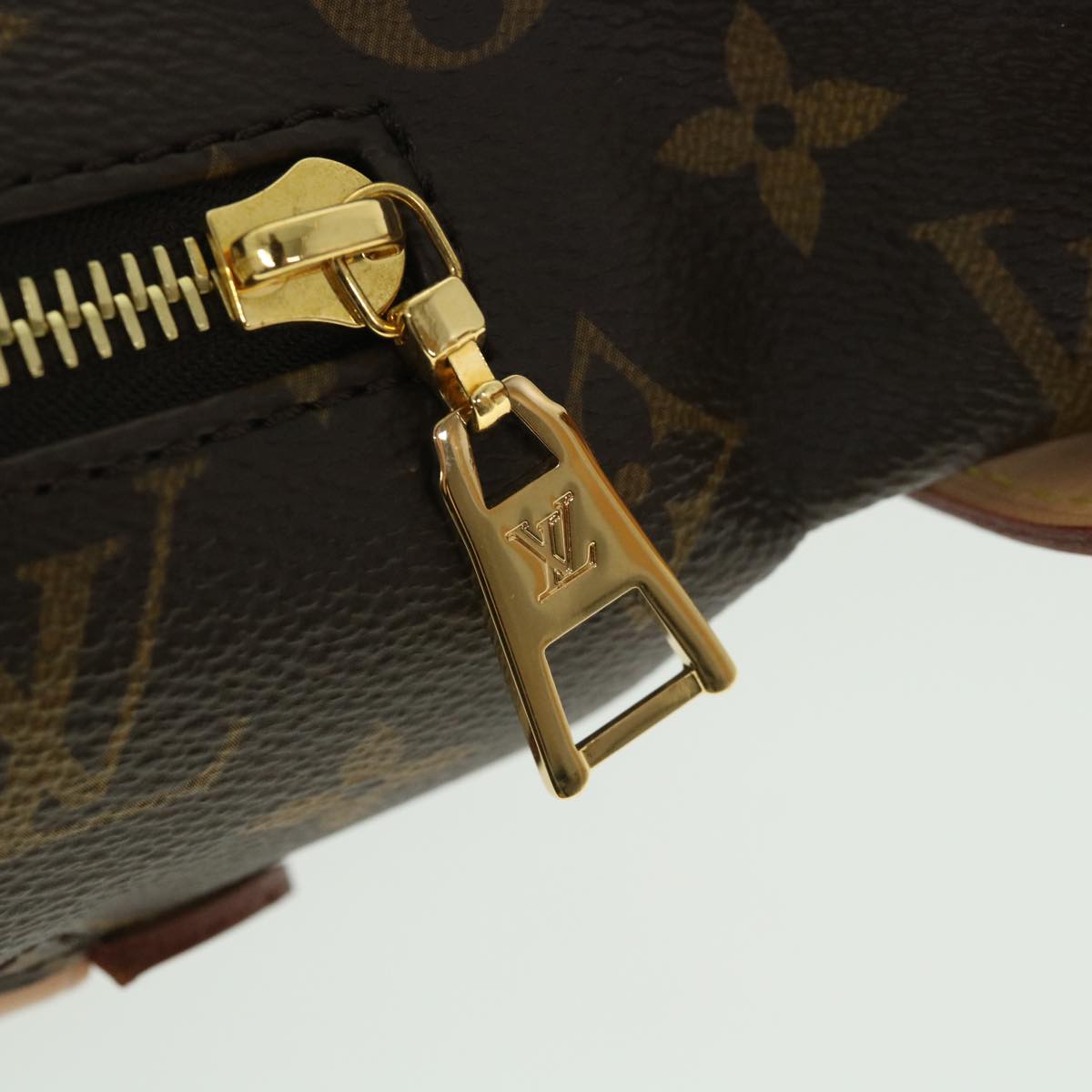 LOUIS VUITTON Monogram Bum Bag Shoulder Bag M43644 LV 55062