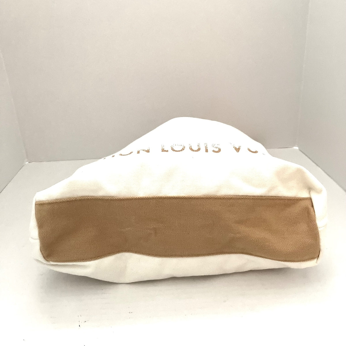 Louis Vuitton  Canvas Tote Bag ()