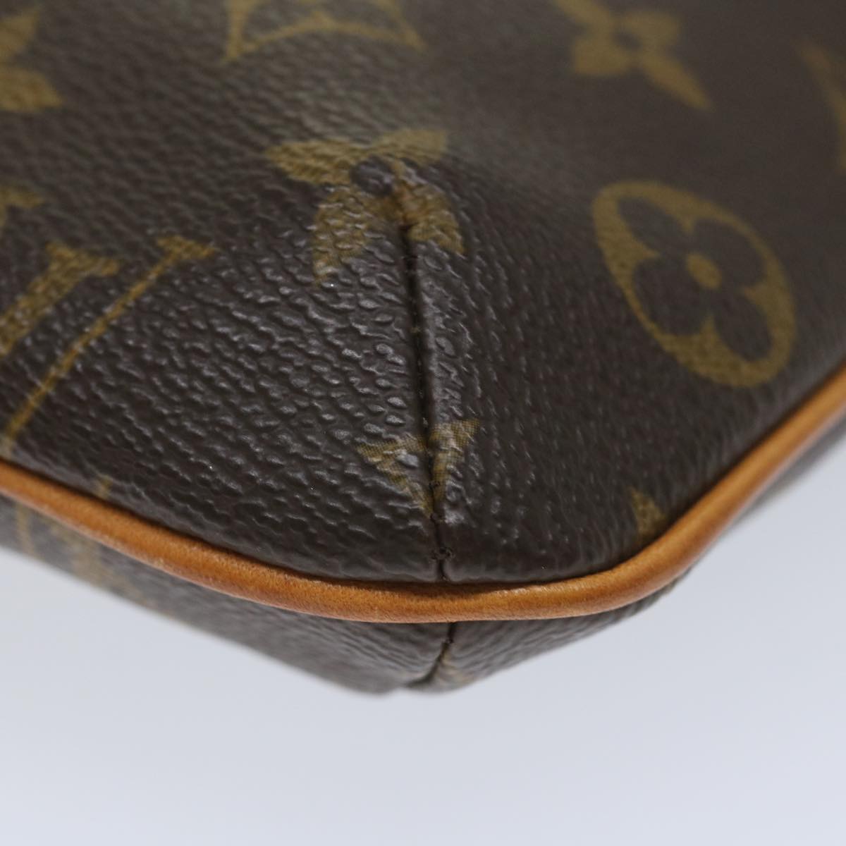 LOUIS VUITTON Monogram Partition Pouch M51901 LV 56445