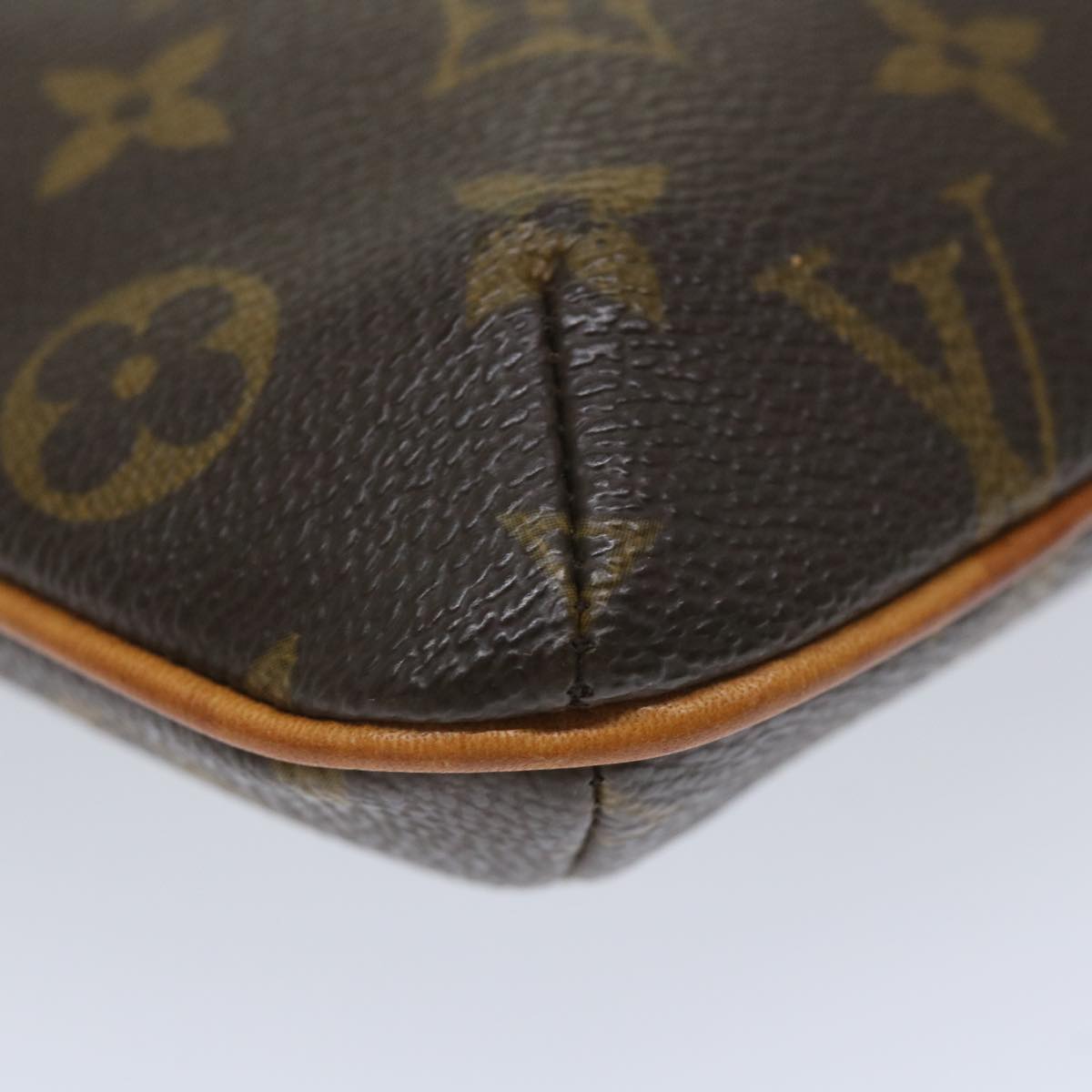 LOUIS VUITTON Monogram Partition Pouch M51901 LV 56445