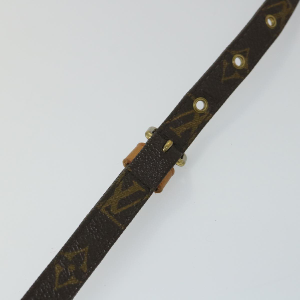 LOUIS VUITTON Monogram Danube Shoulder Bag M45266 LV 56452