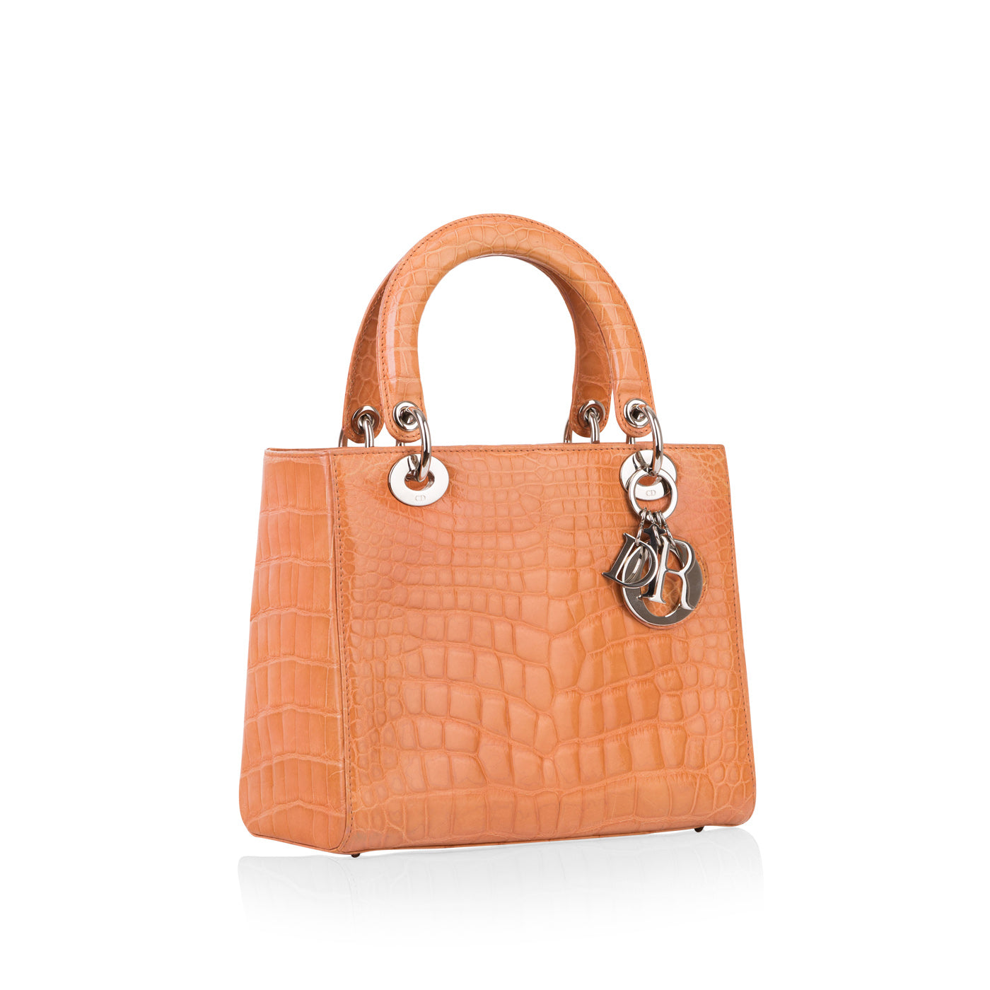 Luxury Dior Lady Luxury Dior Crocodile
