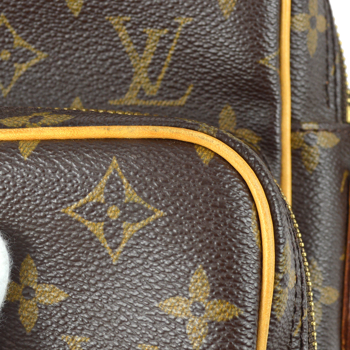 Louis Vuitton 2006 Monogram Amazon M45236