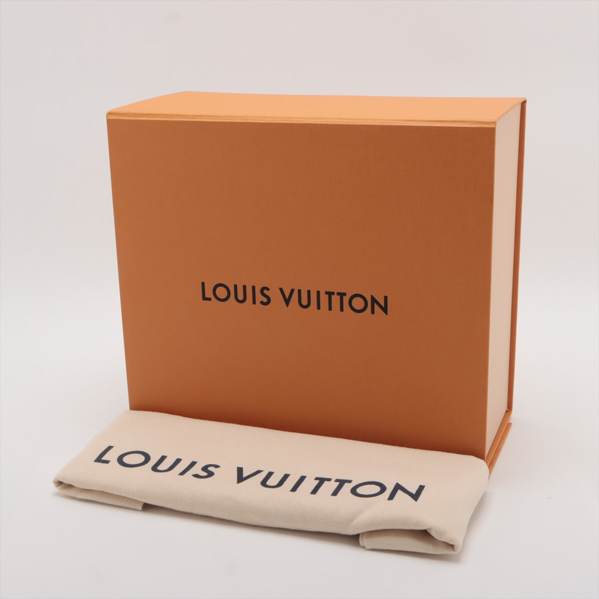 Louis Vuitton LV Aerogram City Pol M59255