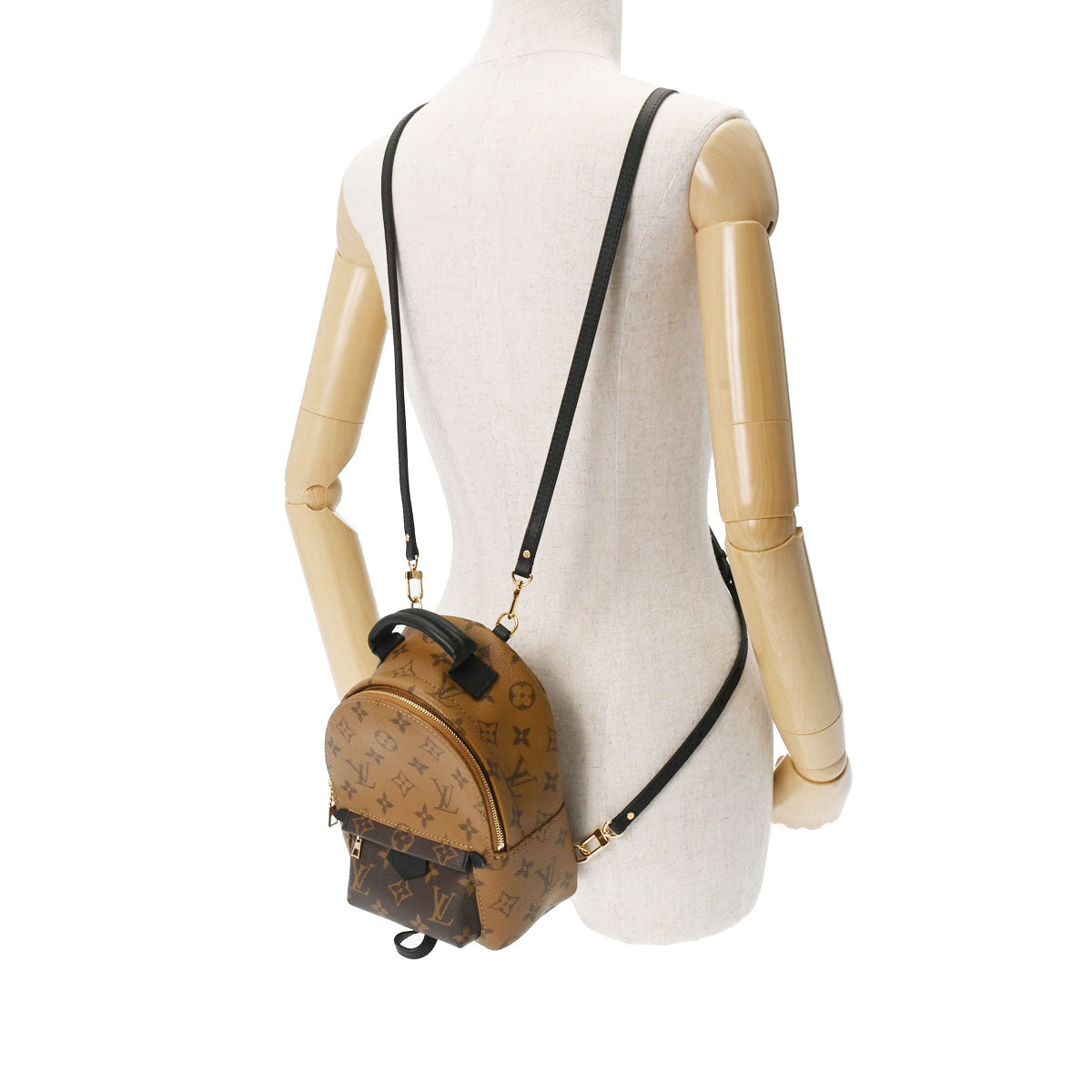 LOUIS VUITTON Monogram Reverse Palm Springs Mini M44872