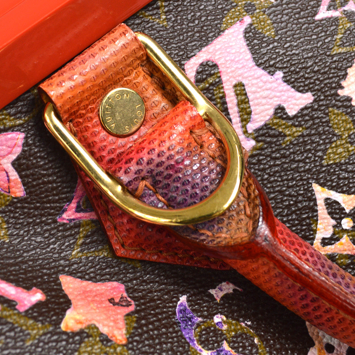 Louis Vuitton 2008 Papillon Monogram Watercolor M95730