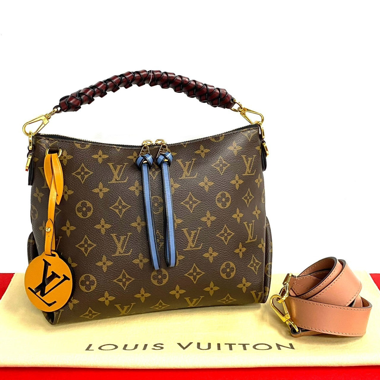 Louis Vuitton Mini Zipped Hobo Leather Bag