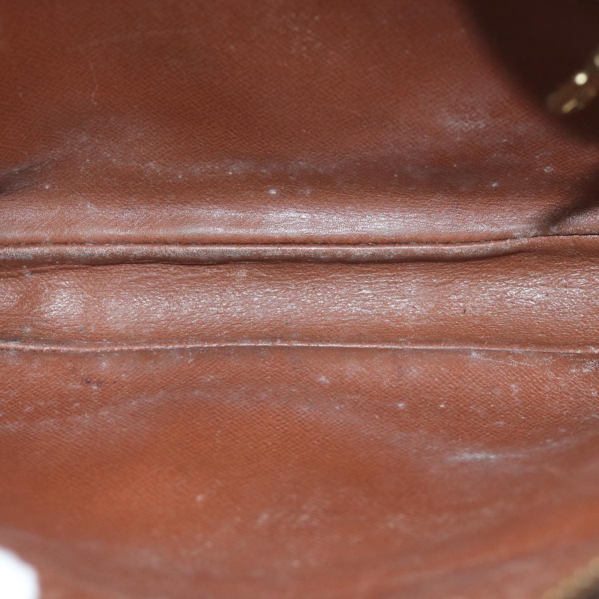 LOUIS VUITTON Monogram Marly Dragonne GM Clutch Bag M51825 LV 70475