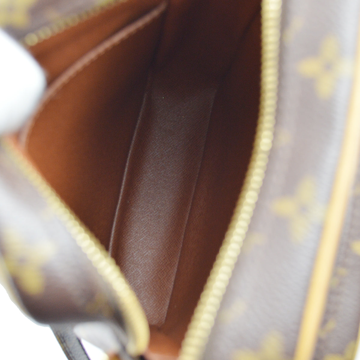Louis Vuitton 2006 Monogram Amazon M45236