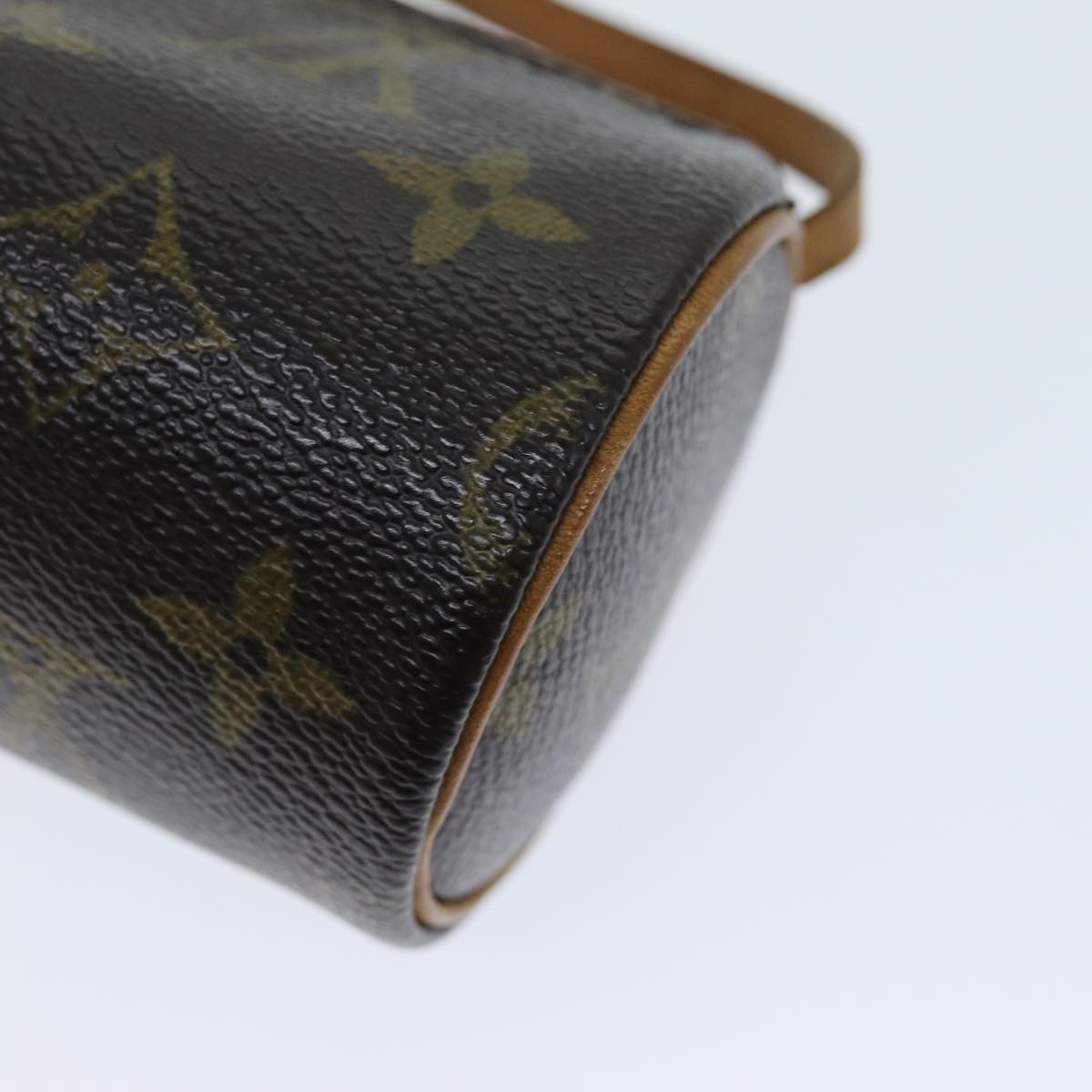 LOUIS VUITTON Monogram Papillon Pouch LV 74412