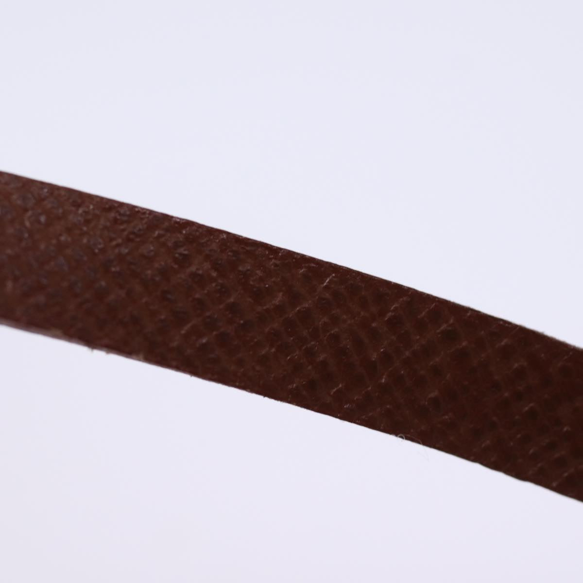 LOUIS VUITTON Monogram Papillon Pouch LV 74413