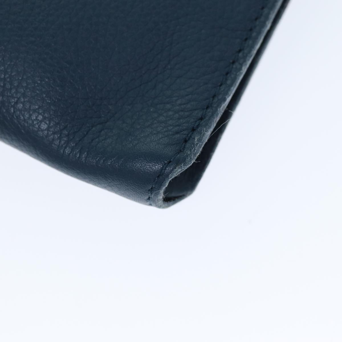 LOUIS VUITTON Pouch Taurillon Leather Navy Orage R99587 LV 74597