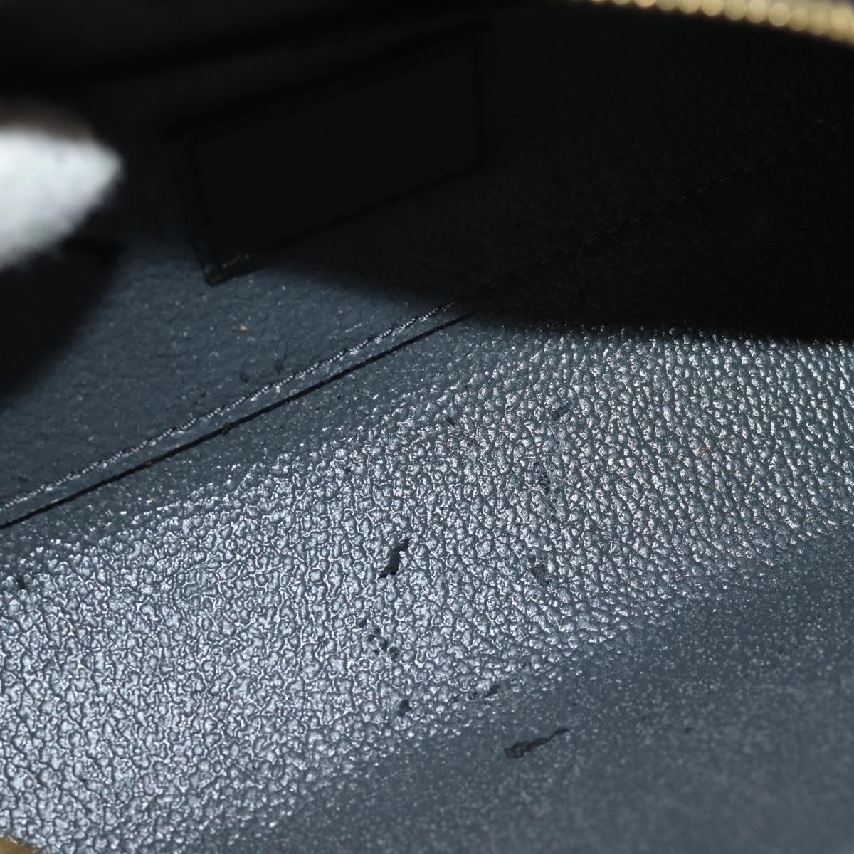 LOUIS VUITTON Epi Dauphine PM Pouch Black M48442 LV 75655