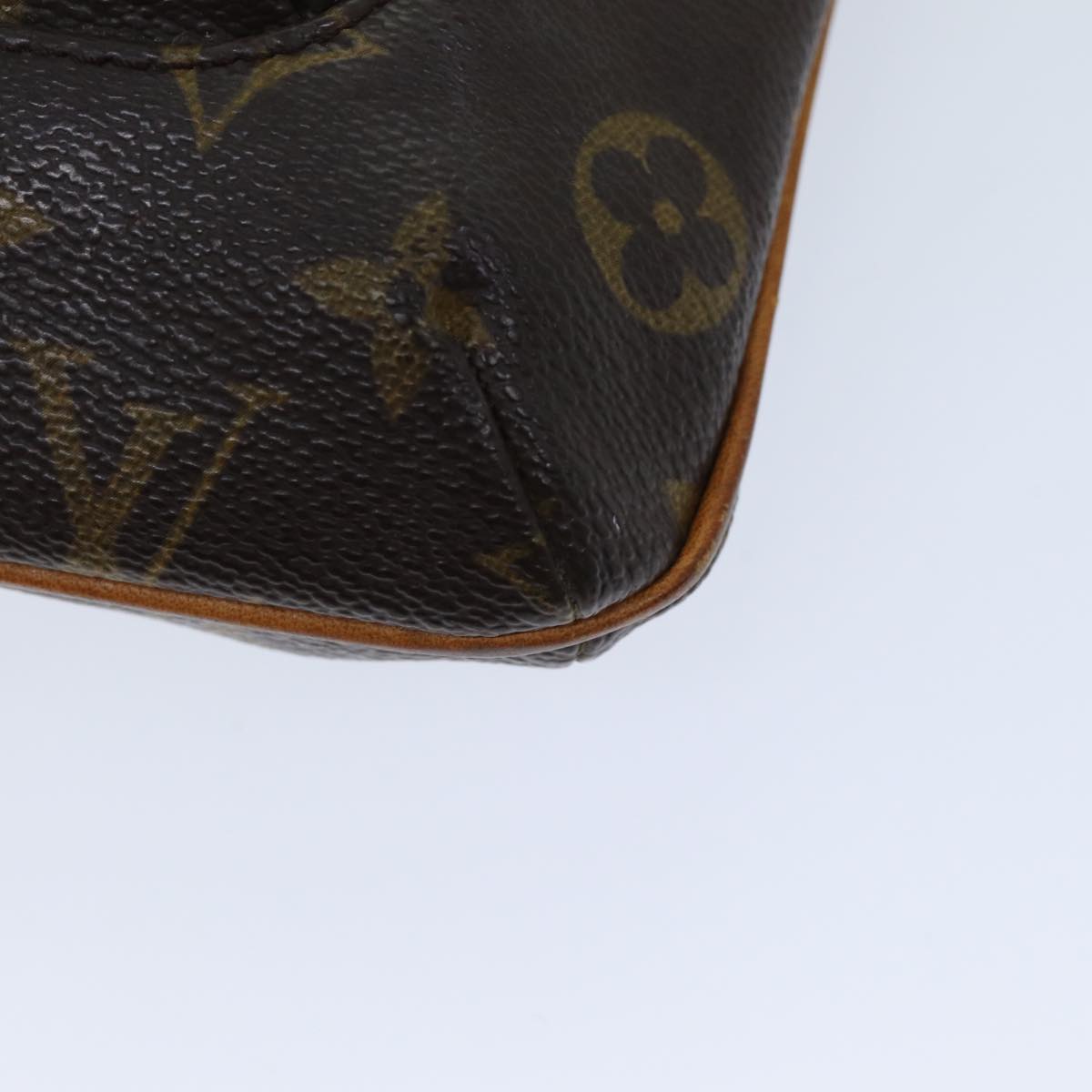 LOUIS VUITTON Monogram Partition Pouch M51901 LV 76035