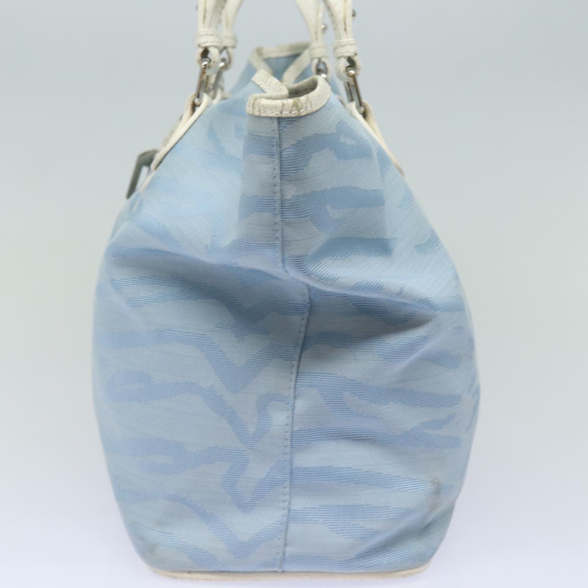 Luxury Fendi Tote Bag Canvas Light Blue 12429077643