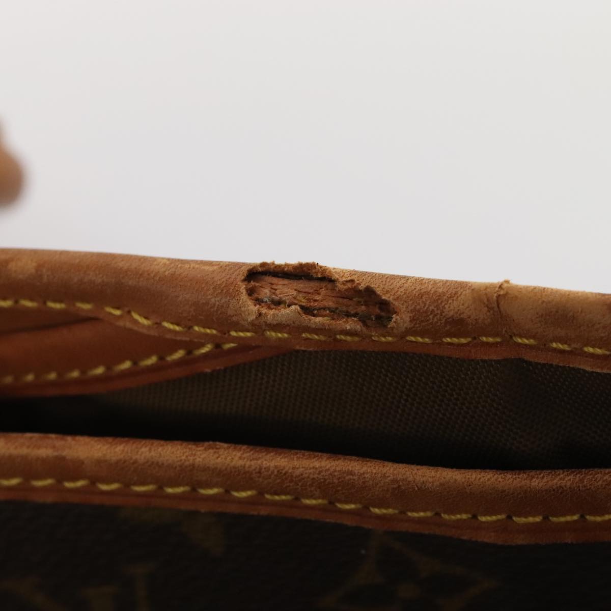 LOUIS VUITTON Monogram Housse Porte Habits Garment Cover M23434 LV 81521