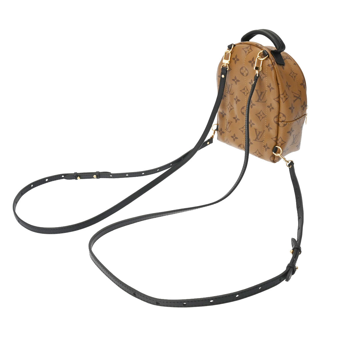 LOUIS VUITTON Monogram Reverse Palm Springs Mini M44872