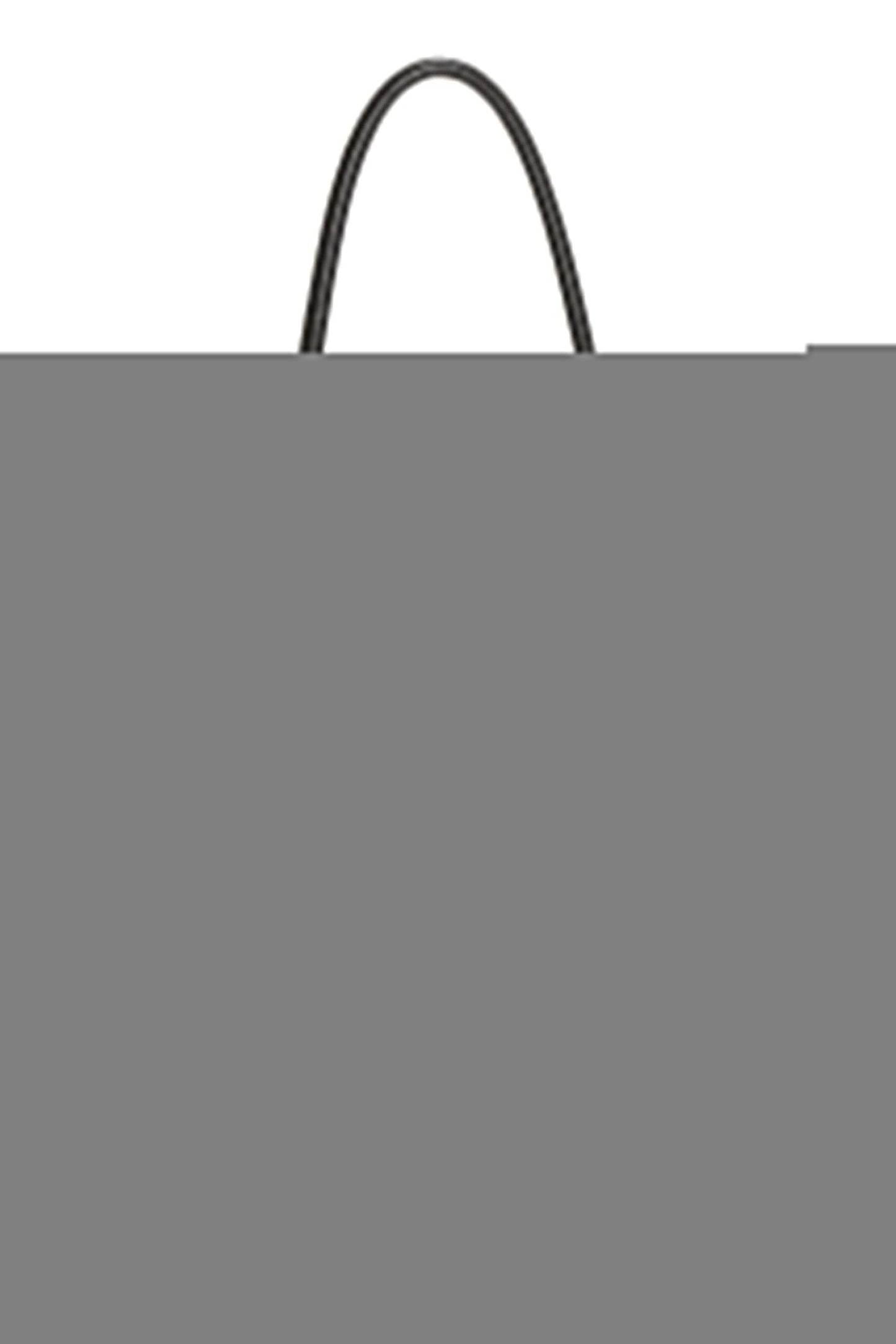 Chanel,  White Leather Essential Rue Cambon Shopping Tote Small, White