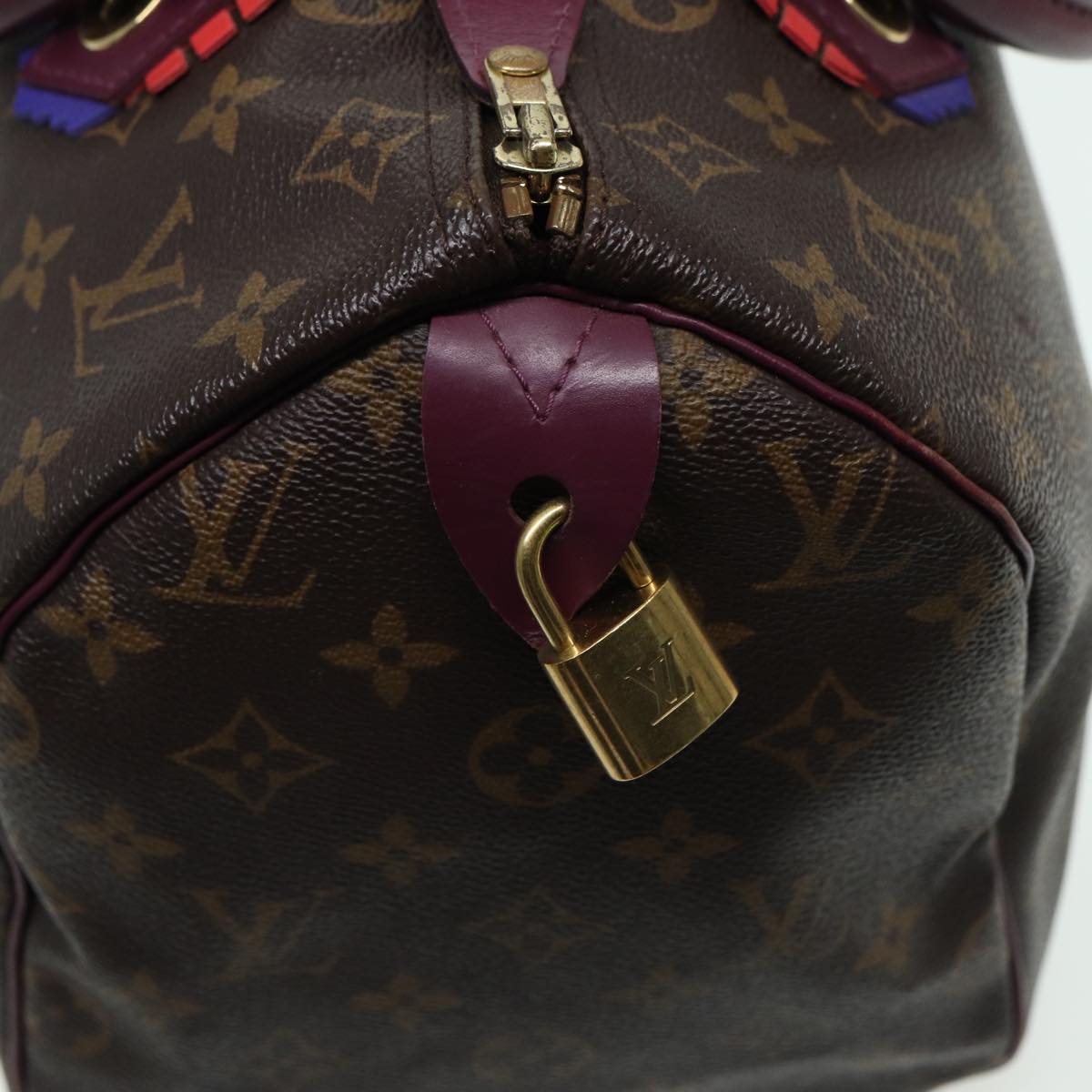 LOUIS VUITTON Monogram Totem Speedy 30 Hand Bag M41666 LV 83082
