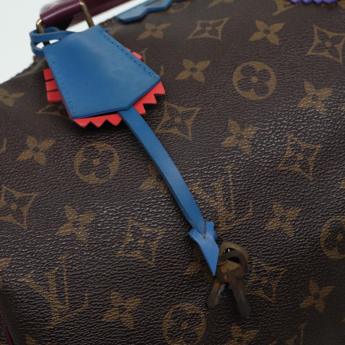 LOUIS VUITTON Monogram Totem Speedy 30 Hand Bag M41666 LV 83082