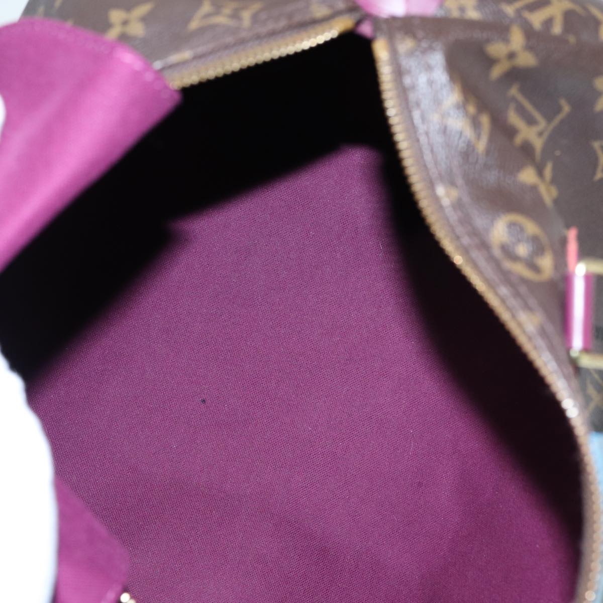 LOUIS VUITTON Monogram Totem Speedy 30 Hand Bag M41666 LV 83082