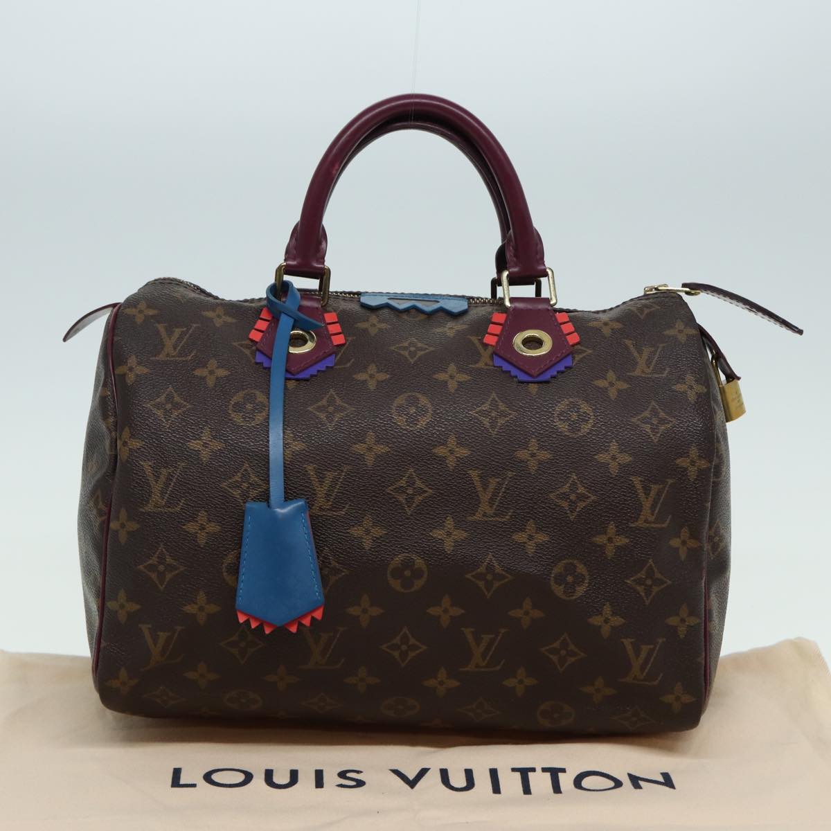 LOUIS VUITTON Monogram Totem Speedy 30 Hand Bag M41666 LV 83082
