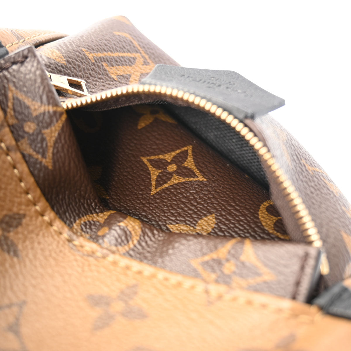 LOUIS VUITTON Monogram Reverse Palm Springs Mini M44872