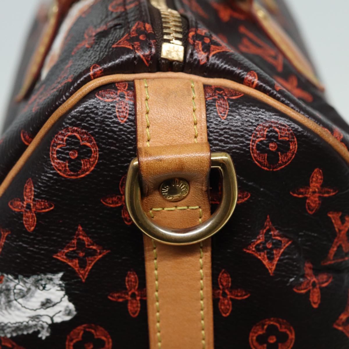 LOUIS VUITTON Catgram Speedy Bandouliere 30 Hand Bag Brown M44401 LV 84188