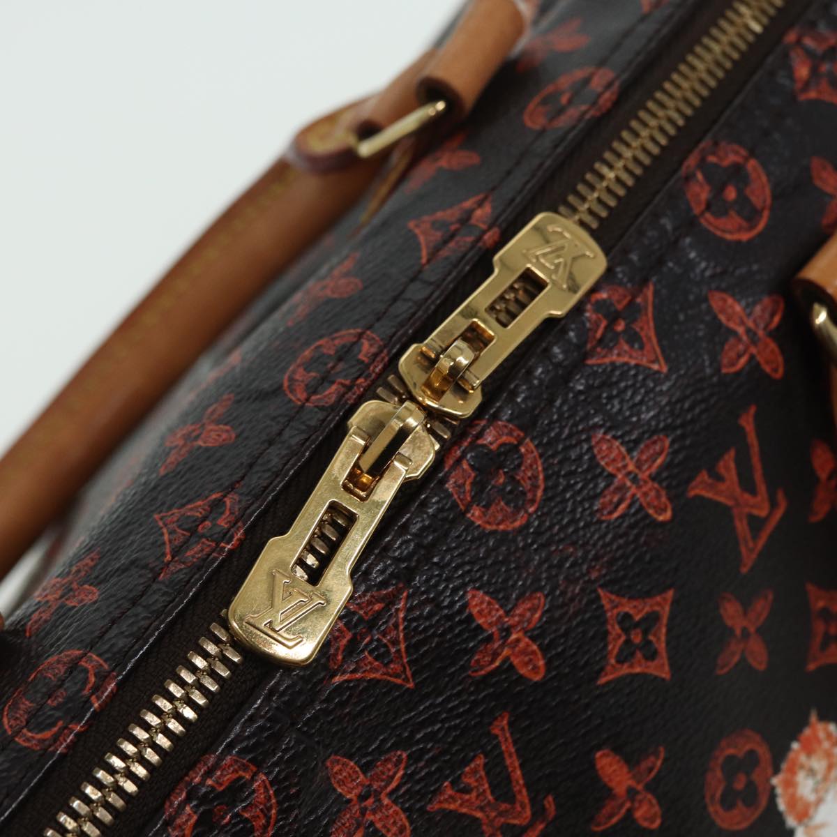 LOUIS VUITTON Catgram Speedy Bandouliere 30 Hand Bag Brown M44401 LV 84188