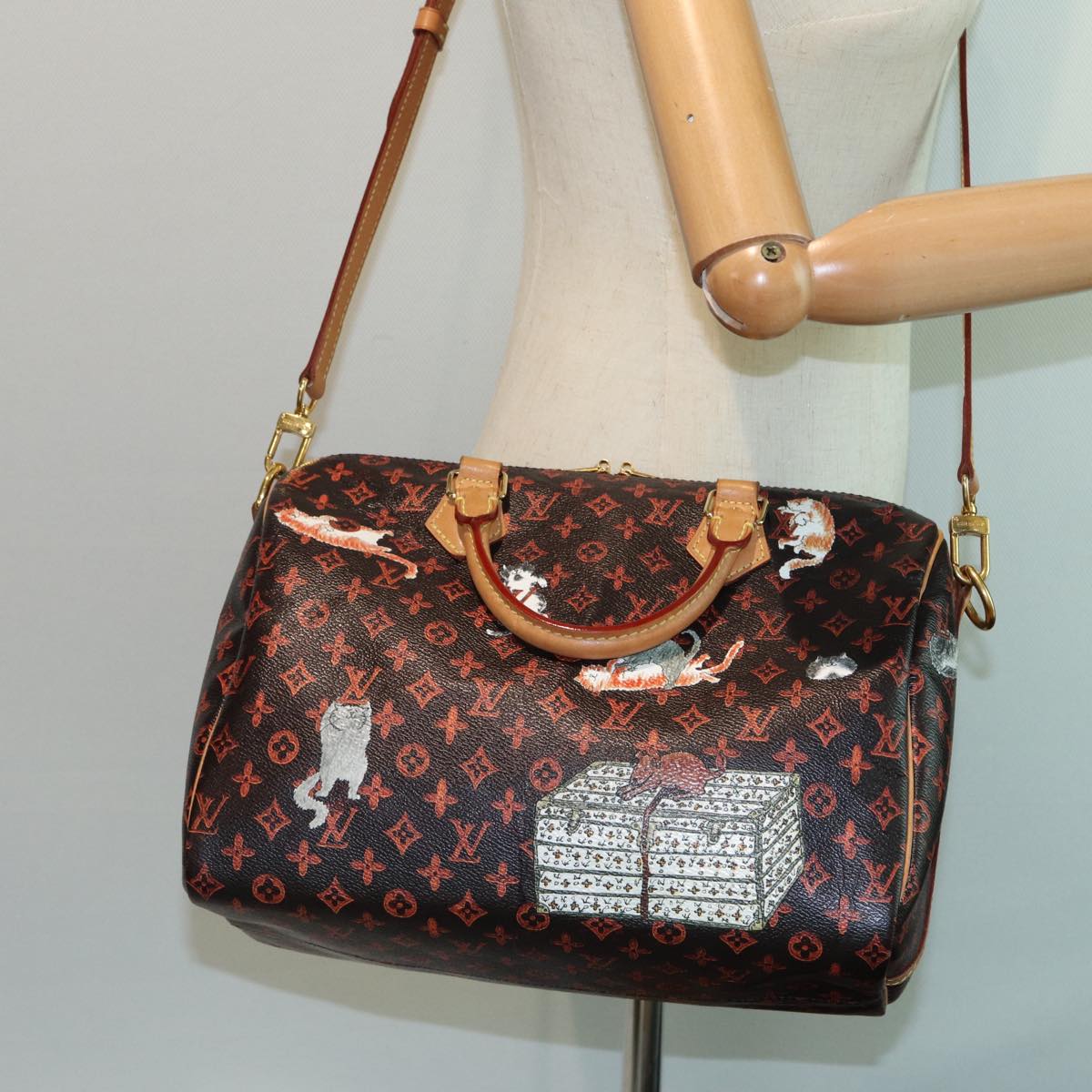 LOUIS VUITTON Catgram Speedy Bandouliere 30 Hand Bag Brown M44401 LV 84188