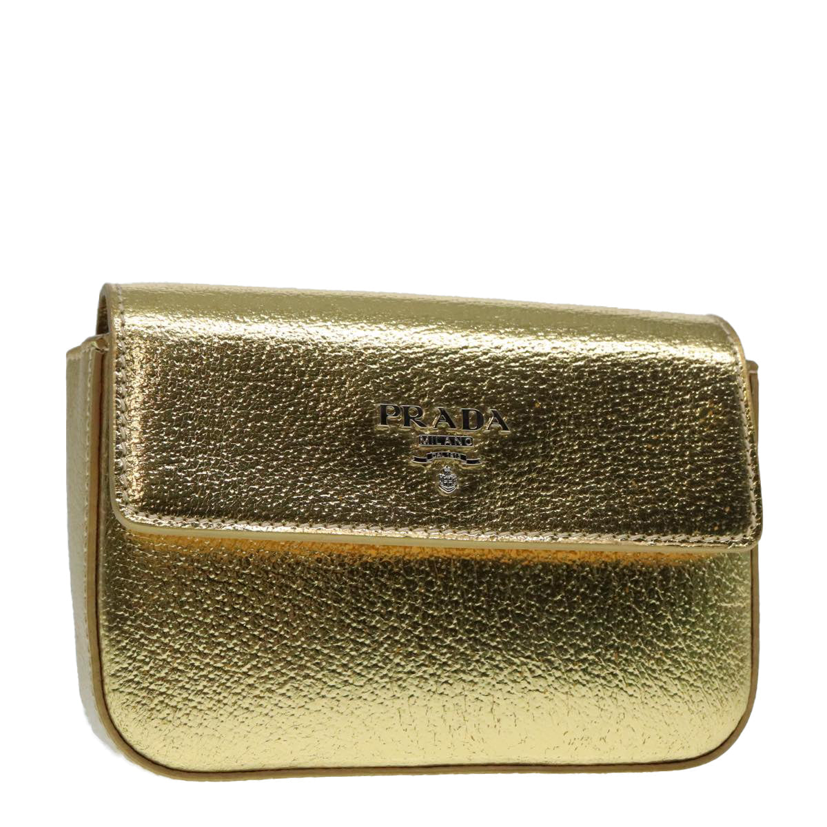 Luxury Prada Accessory Pouch Leather Silver Gold  88214