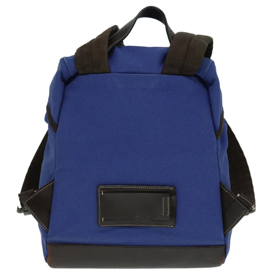 Luxury Prada Backpack Canvas Blue  88293