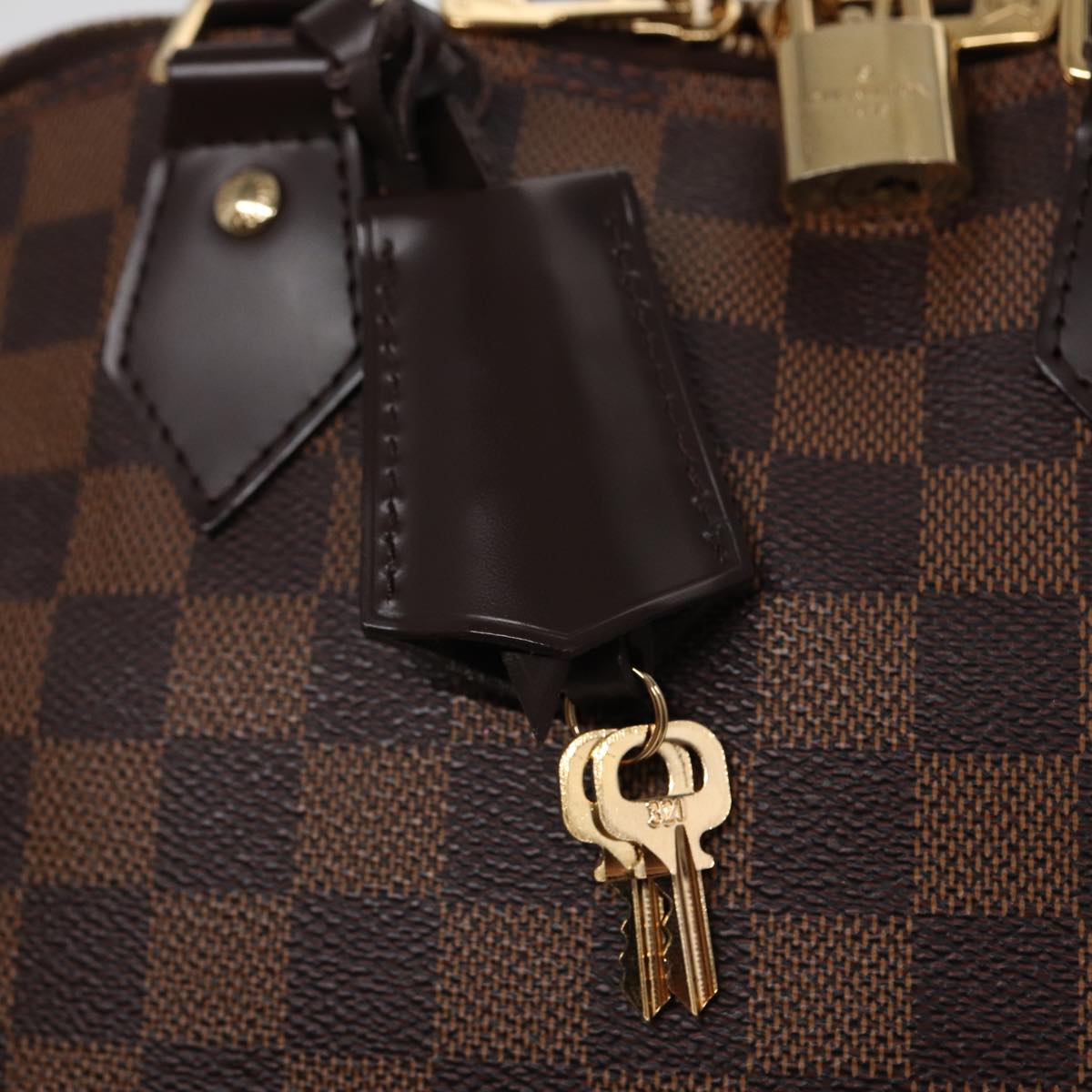 LOUIS VUITTON Damier Ebene Alma PM Hand Bag N53151 LV 88894SA