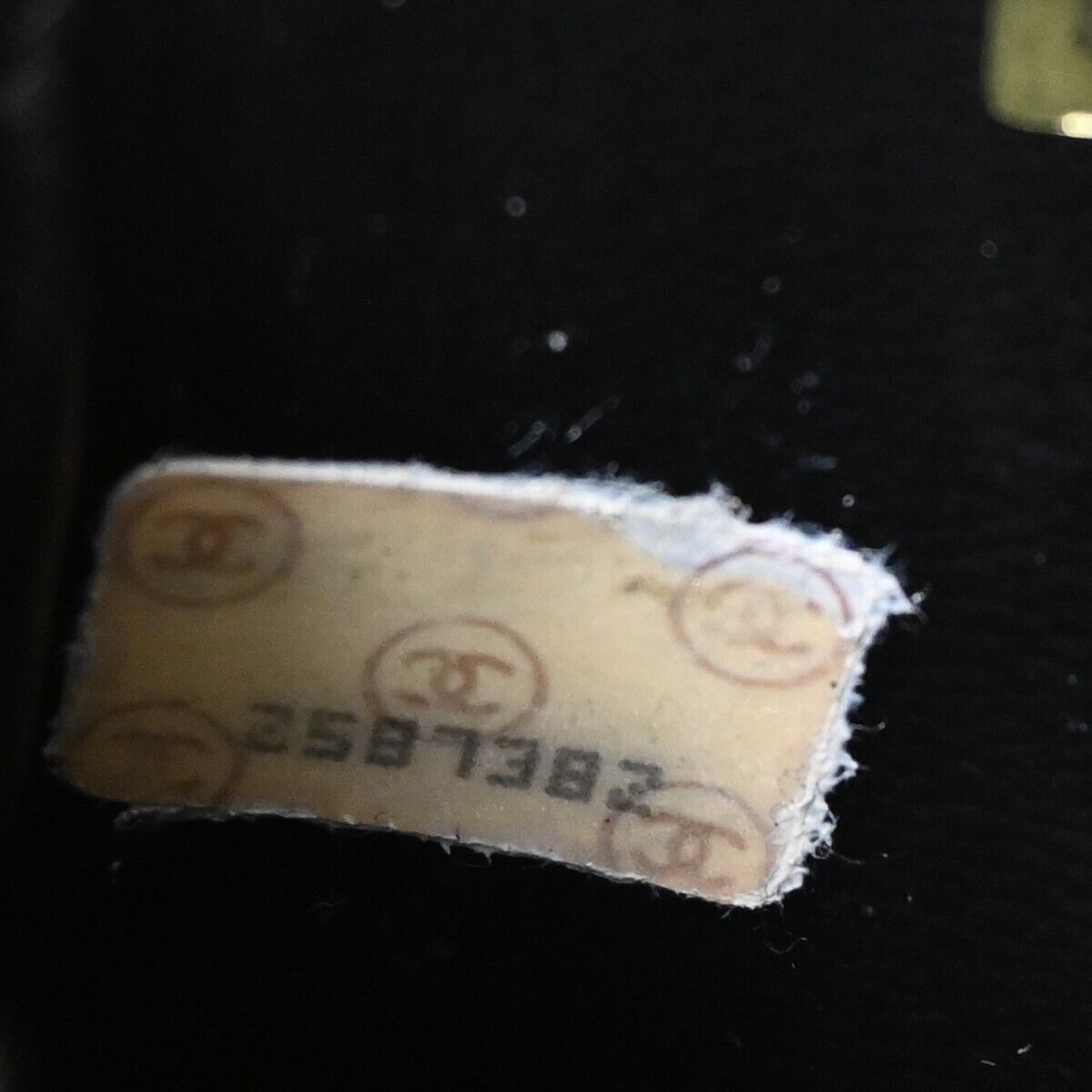 CHANEL Vanity Clutch Bag