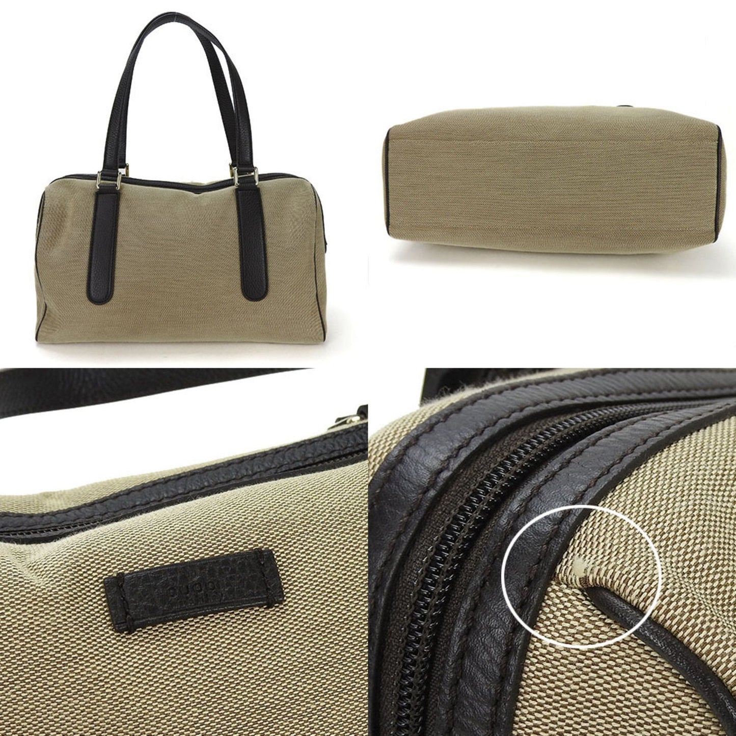 Luxury Gucci Trending 2025 Boston