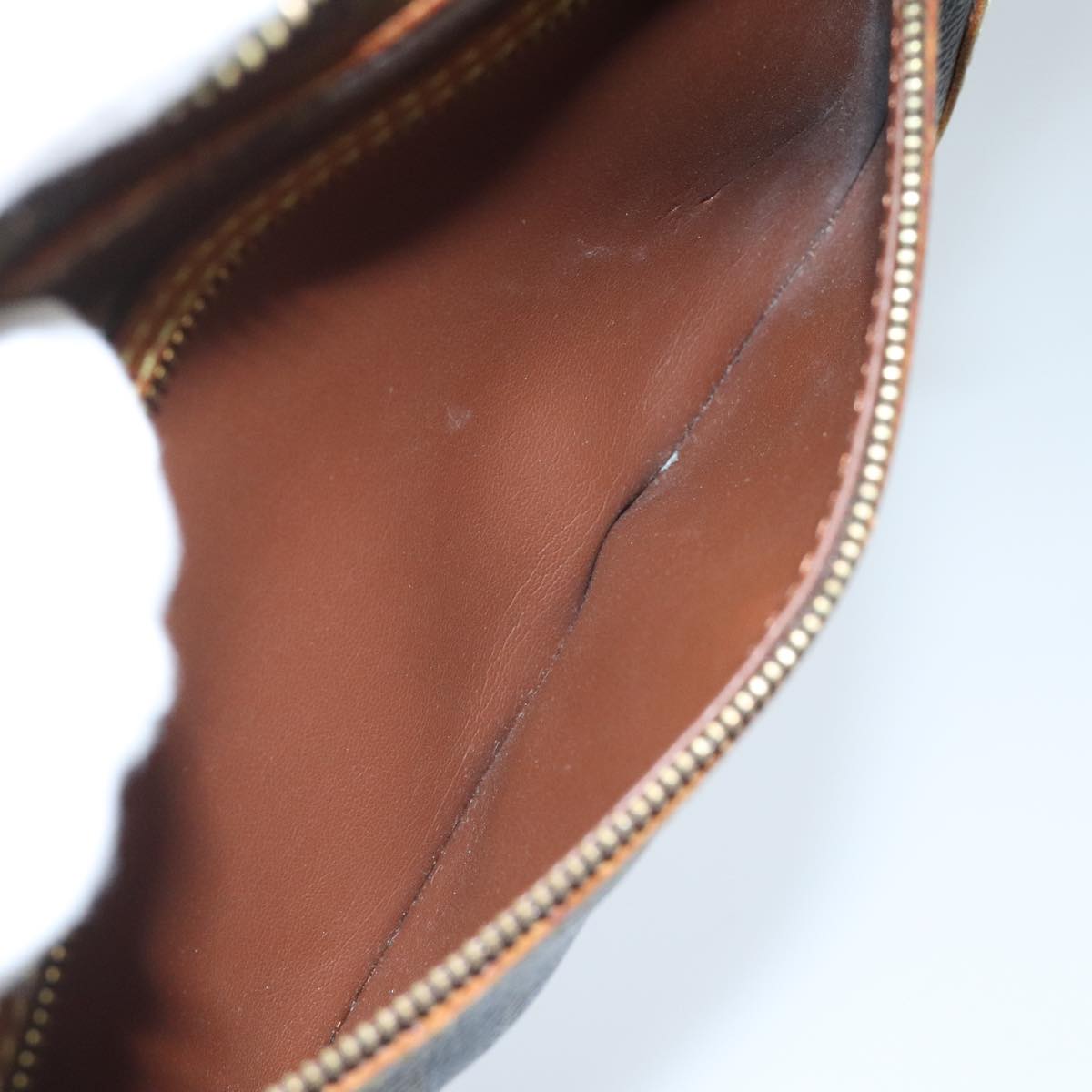 LOUIS VUITTON Monogram Marly Dragonne GM Clutch Bag M51825 LV 96753