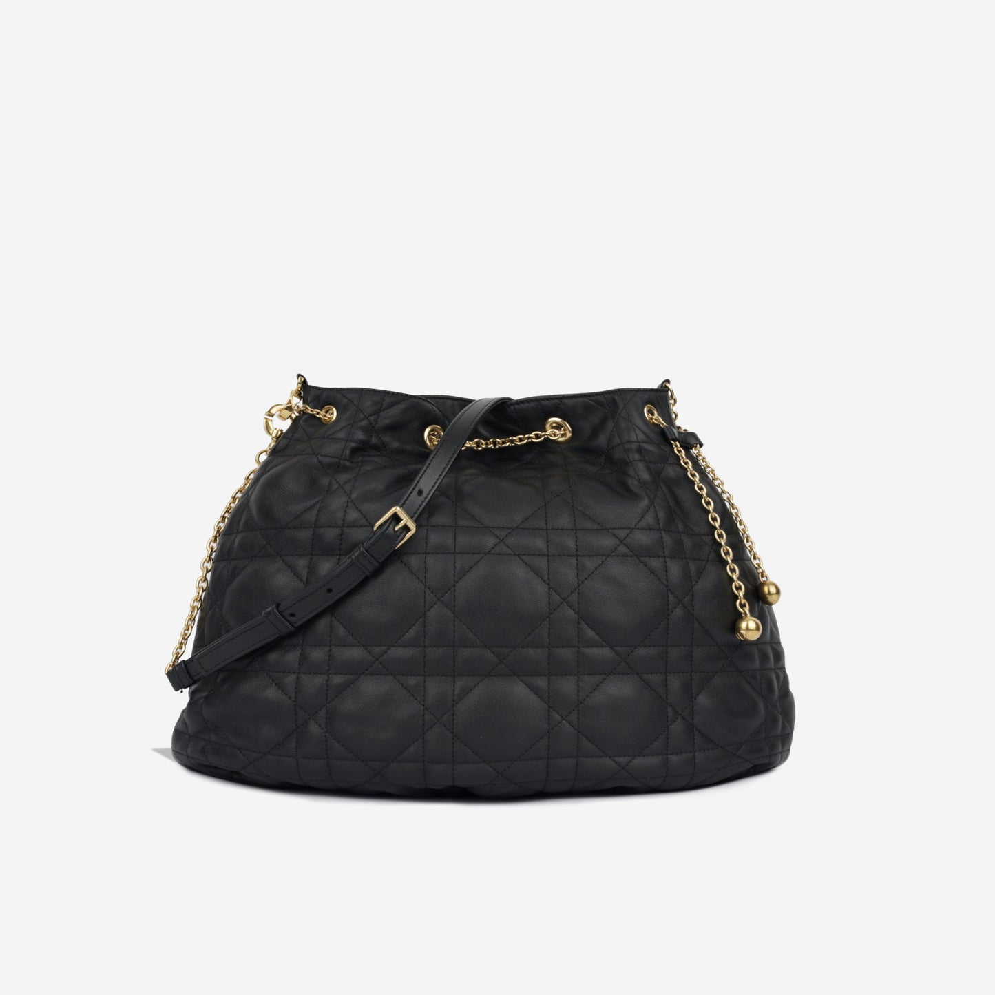 Luxury Dior Large Ammi Bag