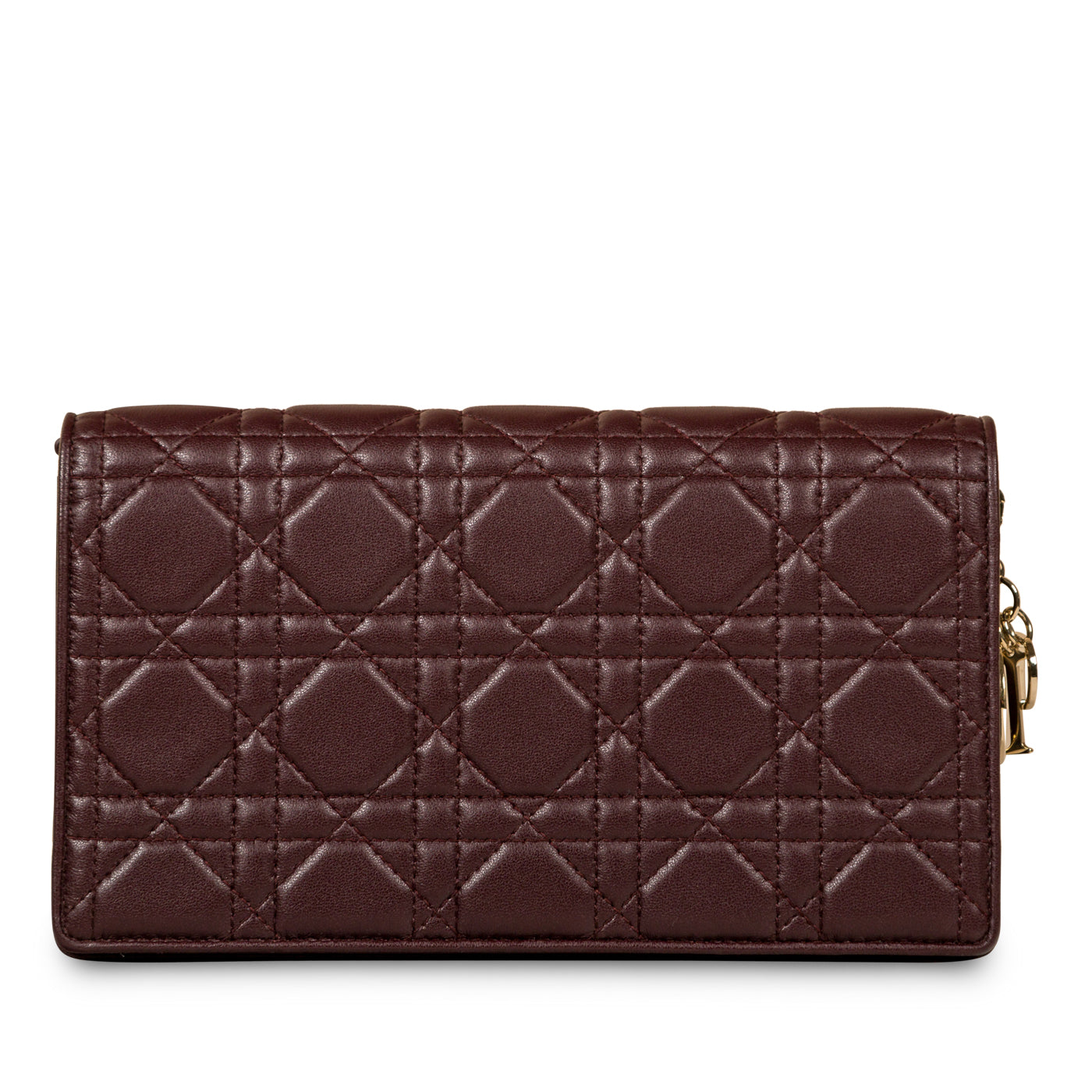 Luxury Dior Lady Luxury Dior Pouch