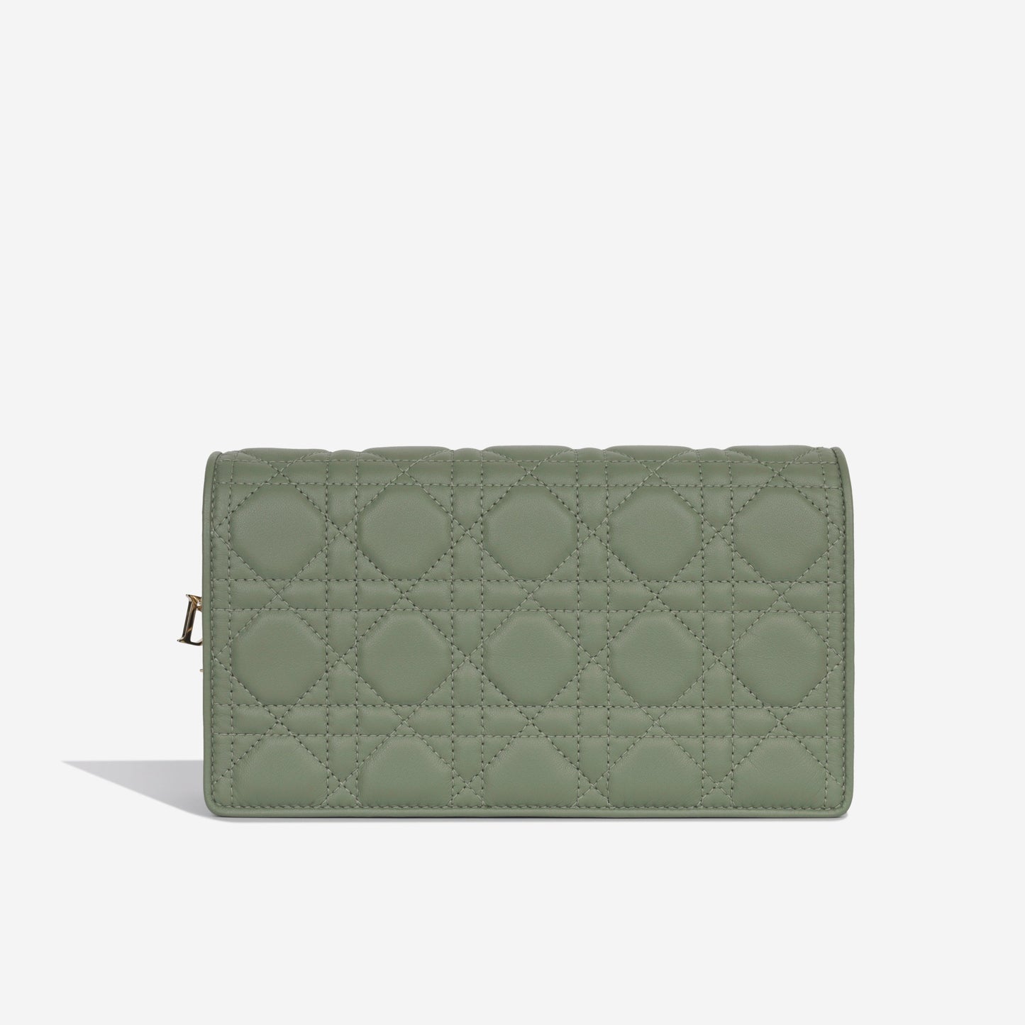 Luxury Dior Lady Luxury Dior Pouch