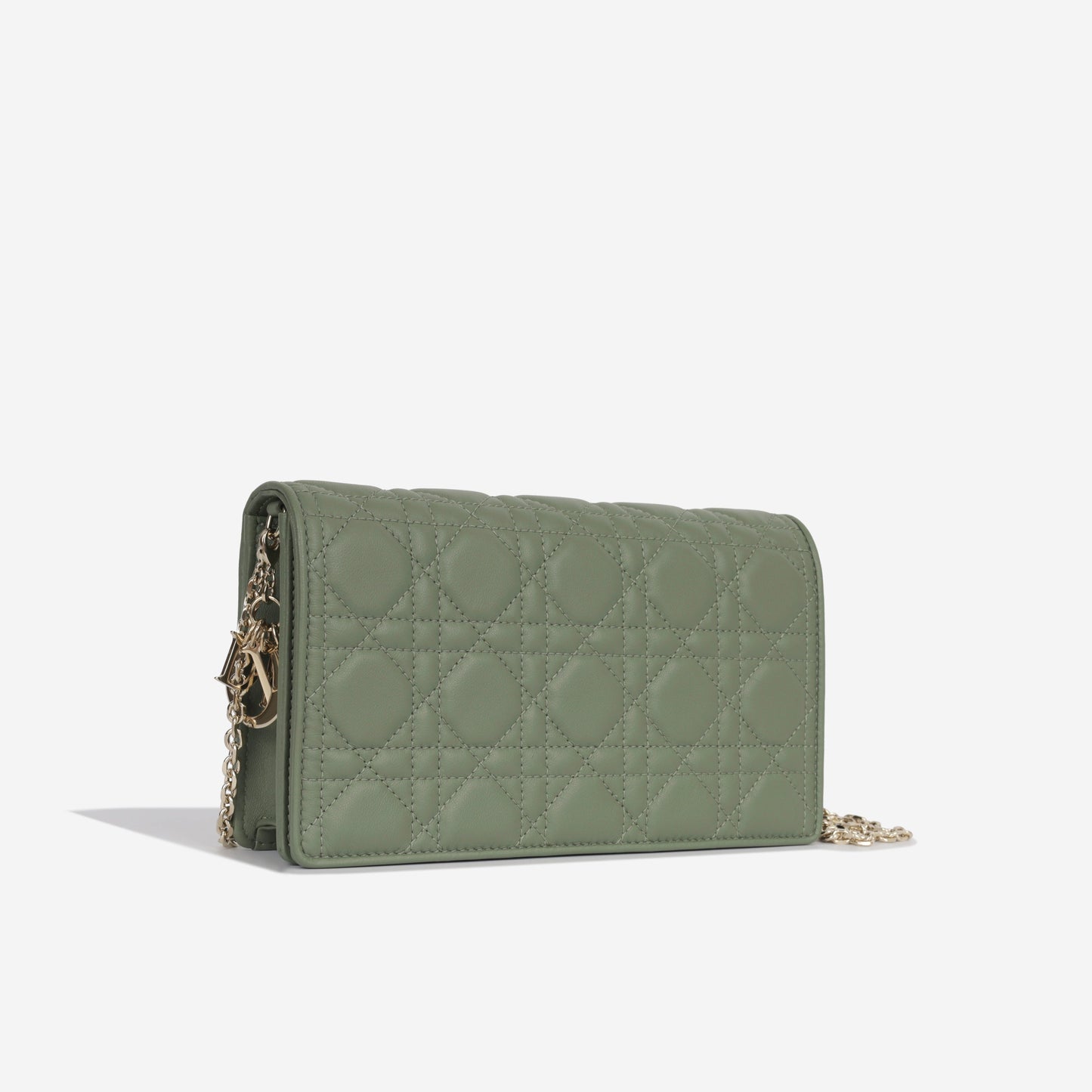 Luxury Dior Lady Luxury Dior Pouch