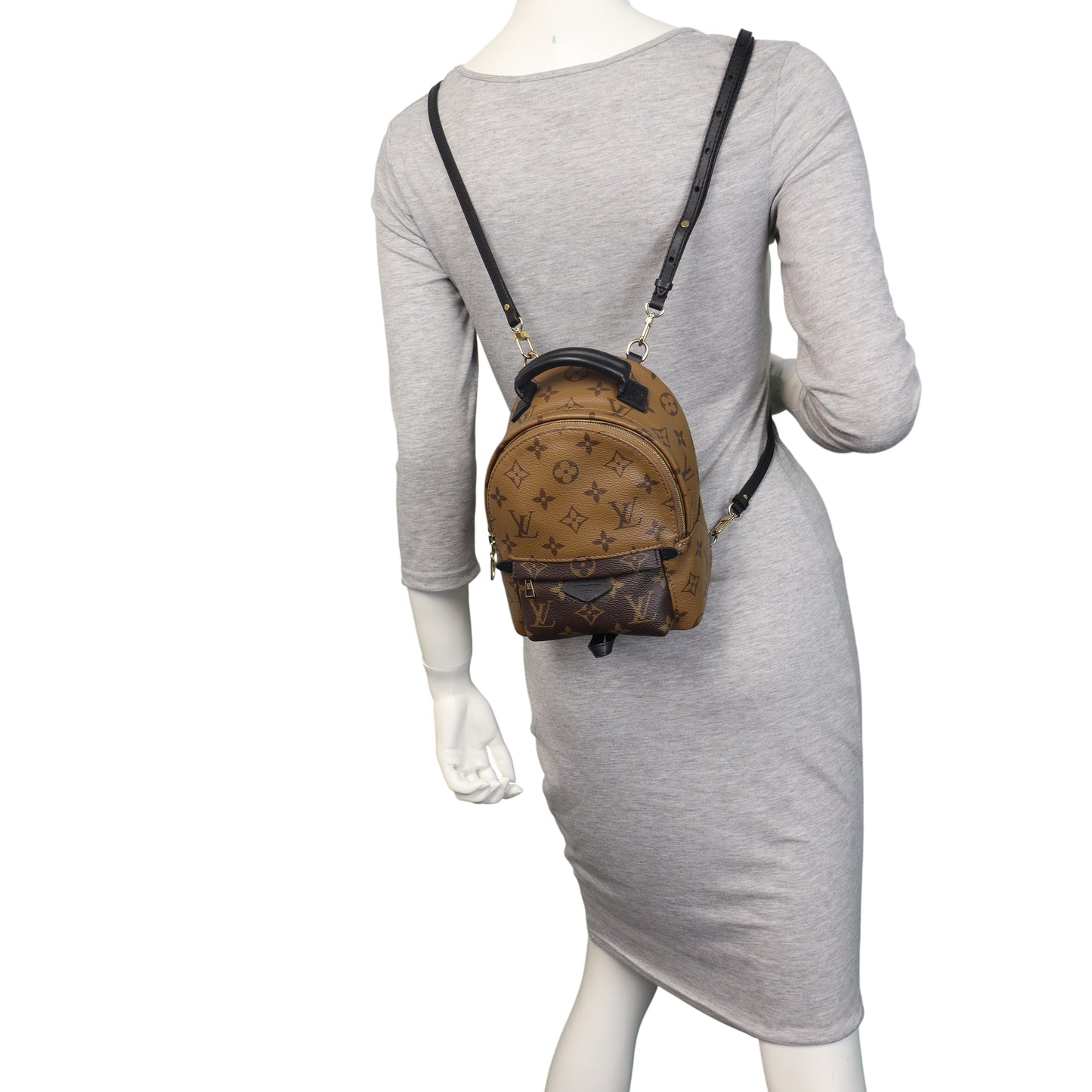 Louis Vuitton Palm Springs Mini Backpack Monogram Reverse