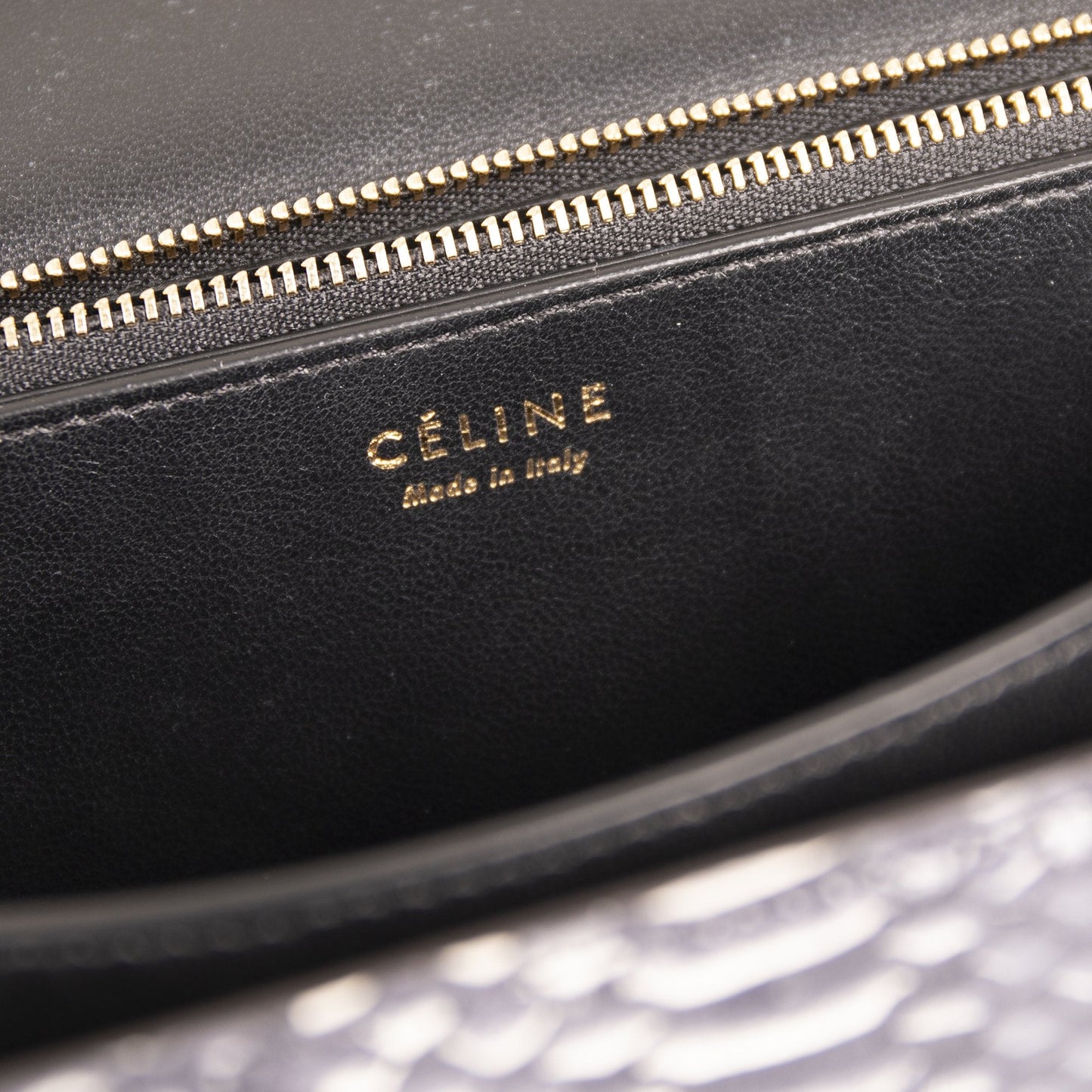 Celine Python Medium Classic Box Bag