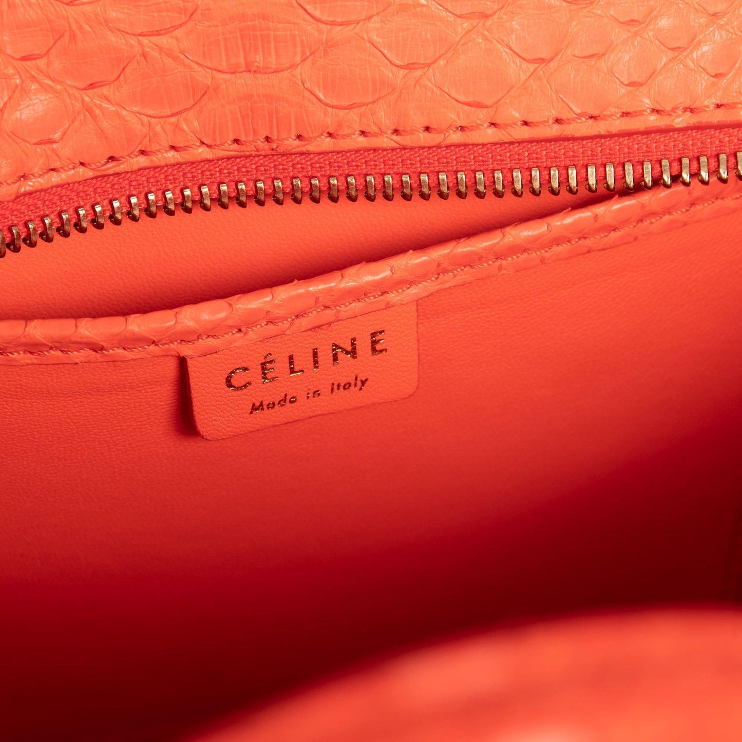 Celine Python Nano Luggage Tote