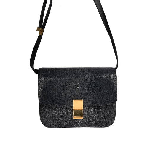 Celine Stingray Medium Classic Box Bag