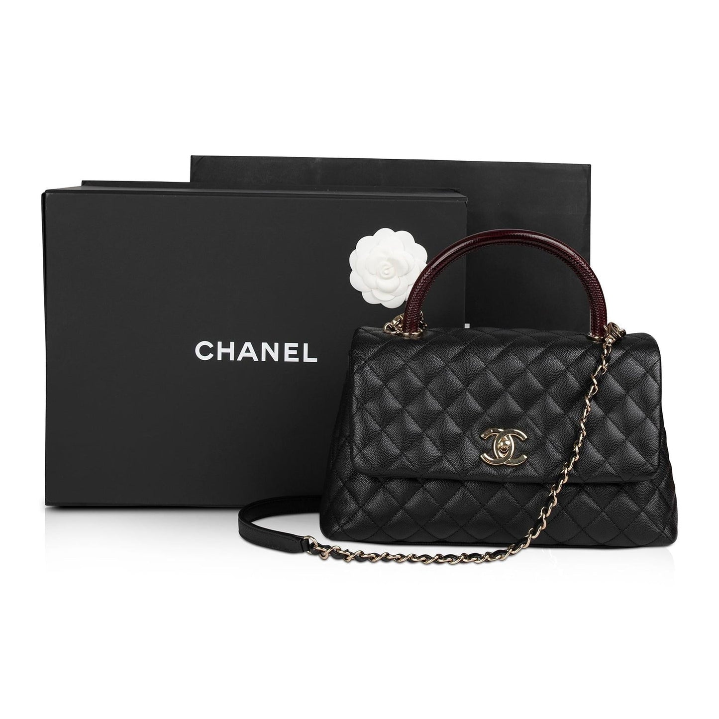 Chanel 2021 Medium Lizard-Trimmed Coco Handle Bag