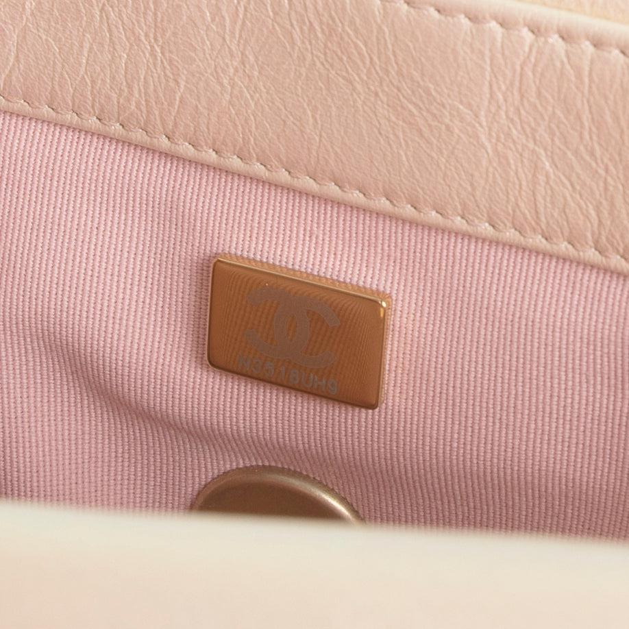 Chanel 2022 Rose Iridescent Medium 19 Flap Bag