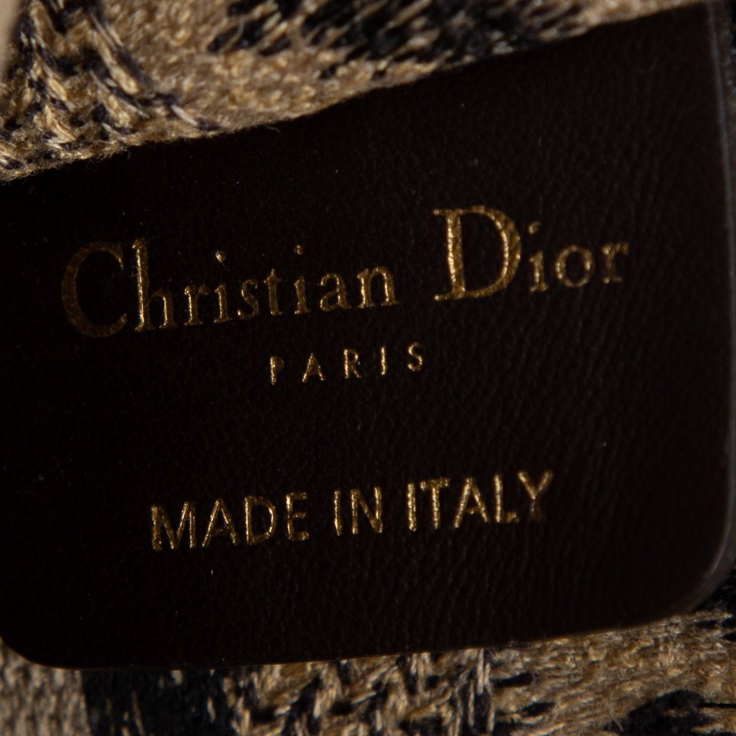 Christian Dior 2021 Mizza Mini Book Tote