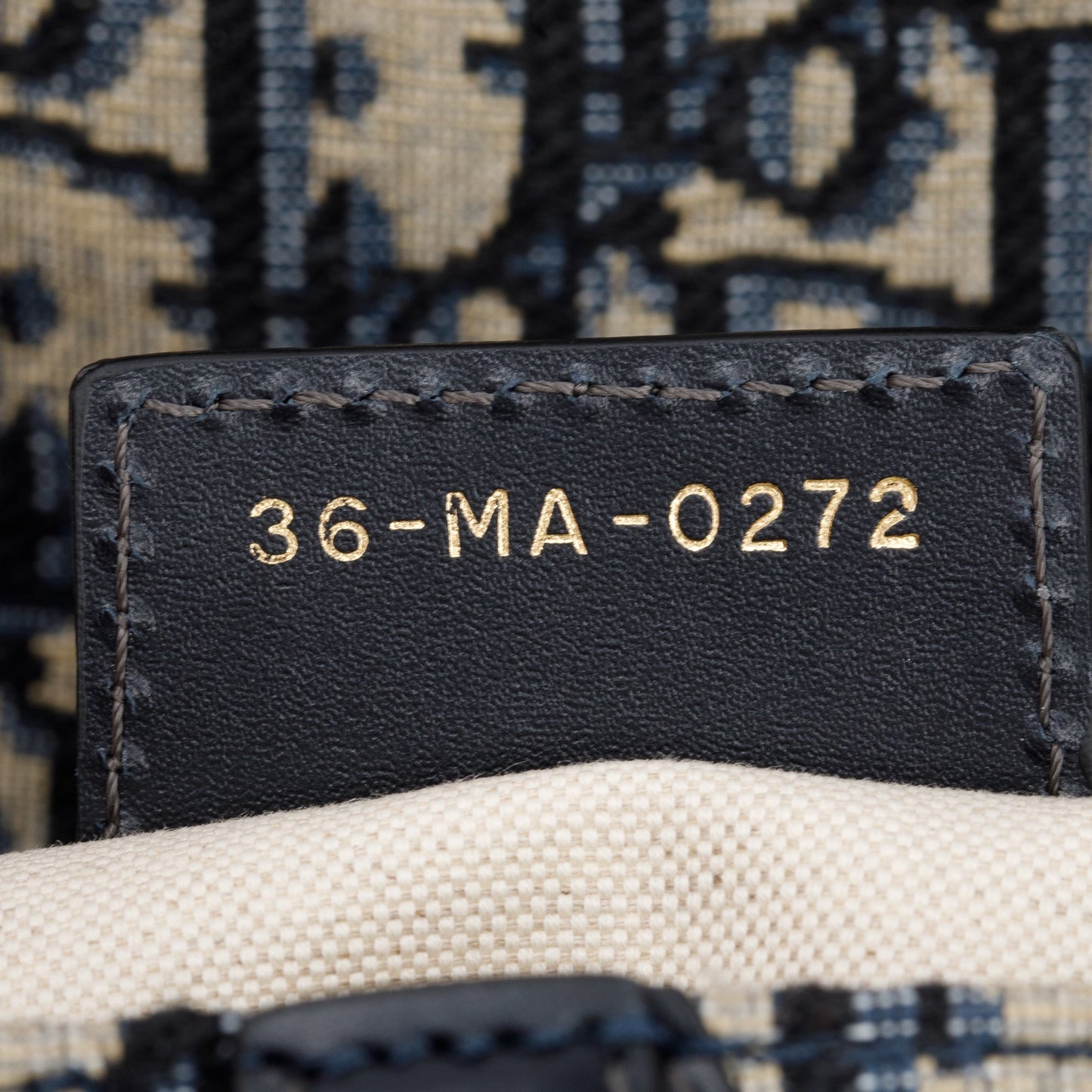 Christian Dior 2022 Oblique Medium Saddle Bag