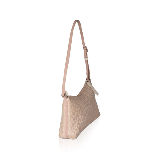 Christian Dior Oblique Canvas Baguette