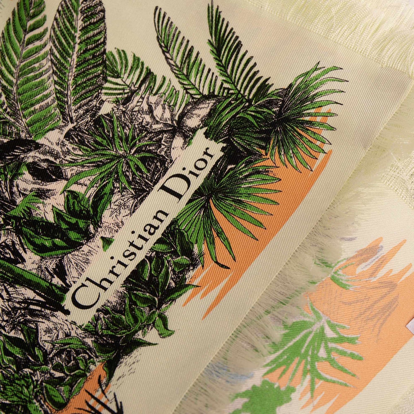 Christian Dior Printed Silk Scarf